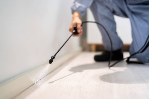 Licensed Pest Control service in Girardville, PA - Show Me Pest Control